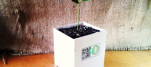 DIY Smart Plant pot