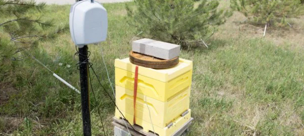 Adding Sensors to Monitor Hive Health