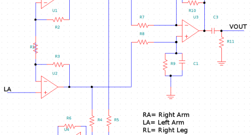 Understanding bioelectricity