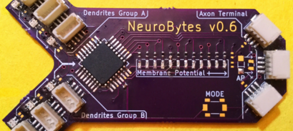 NeuroBytes Simulate Dendrite to Axon Input/Output