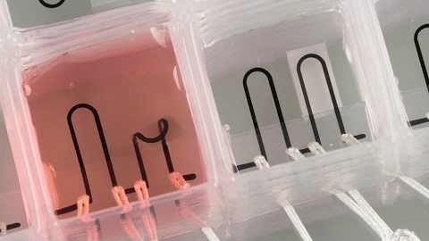 3D Printed Organ-On-Chip