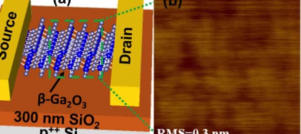 The Next-Generation Semiconductor for Power Electronics