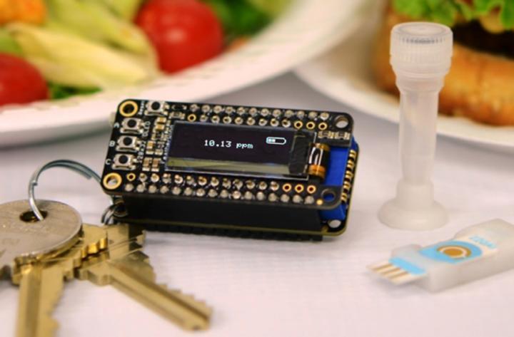iEAT – A Powerful Keychain Detector To Detect Food Allergens