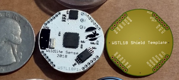 A Temperature Logger to Protect Sea turtles