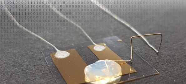 Single Atom Transistor With Ultra-low Power Consumption